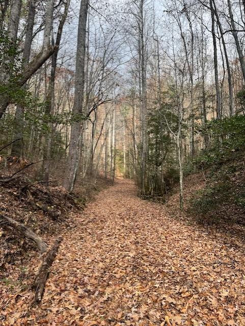 650 Mulberry Trail Ellijay, GA 30540 - Photo 38 of 38 a backyard of a house with lots of green space