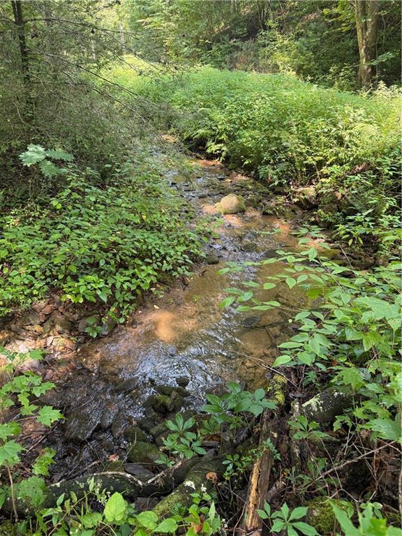 650 Mulberry Trail Ellijay, GA 30540 - Photo 4 of 38 a view of a yard with plants and large trees