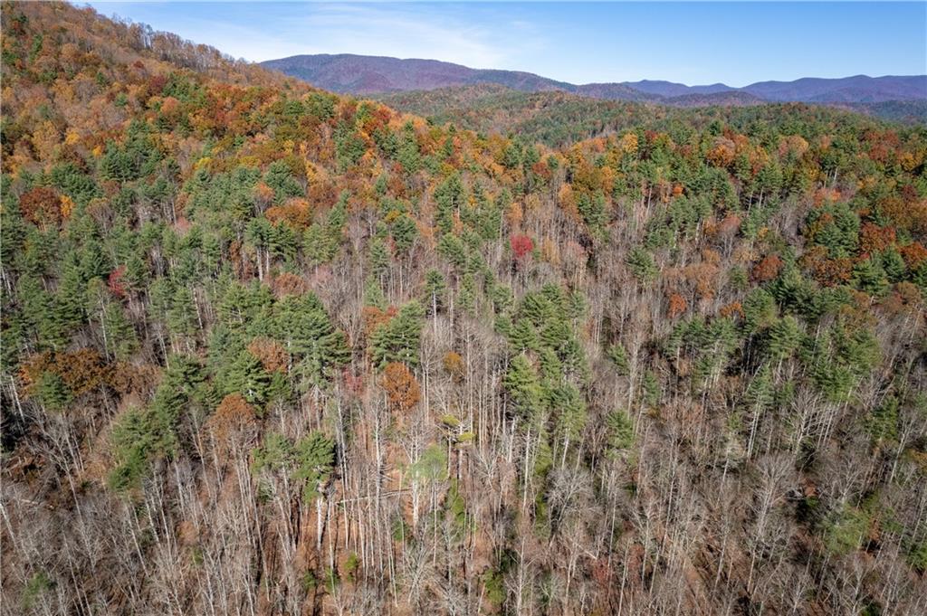650 Mulberry Trail Ellijay, GA 30540 - Photo 6 of 38 a view of a forest with mountains in the background