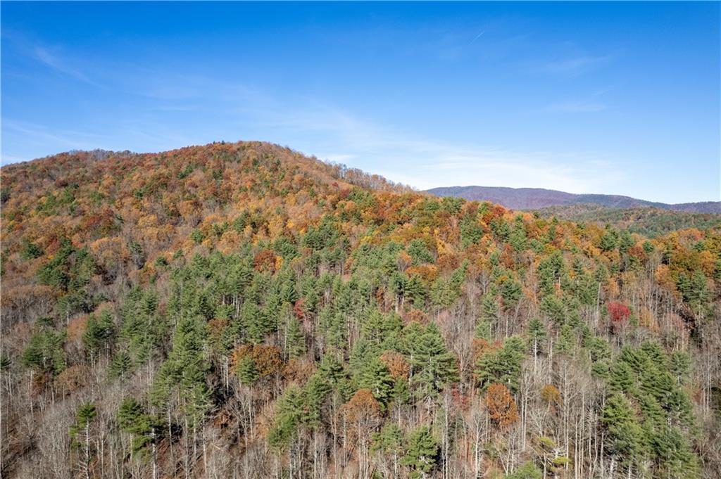 650 Mulberry Trail Ellijay, GA 30540 - Photo 7 of 38 a view of a mountain range in a forest