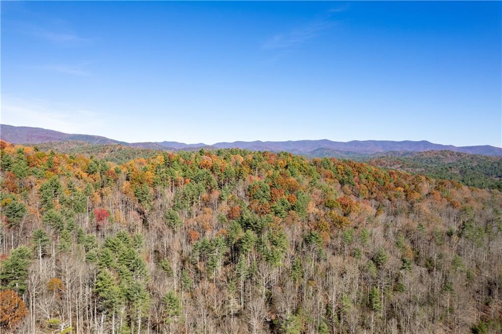 650 Mulberry Trail Ellijay, GA 30540 - Photo 8 of 38 a view of an mountain