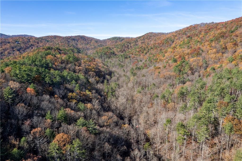 650 Mulberry Trail Ellijay, GA 30540 - Photo 9 of 38 a view of a mountain range in a cloudy sky