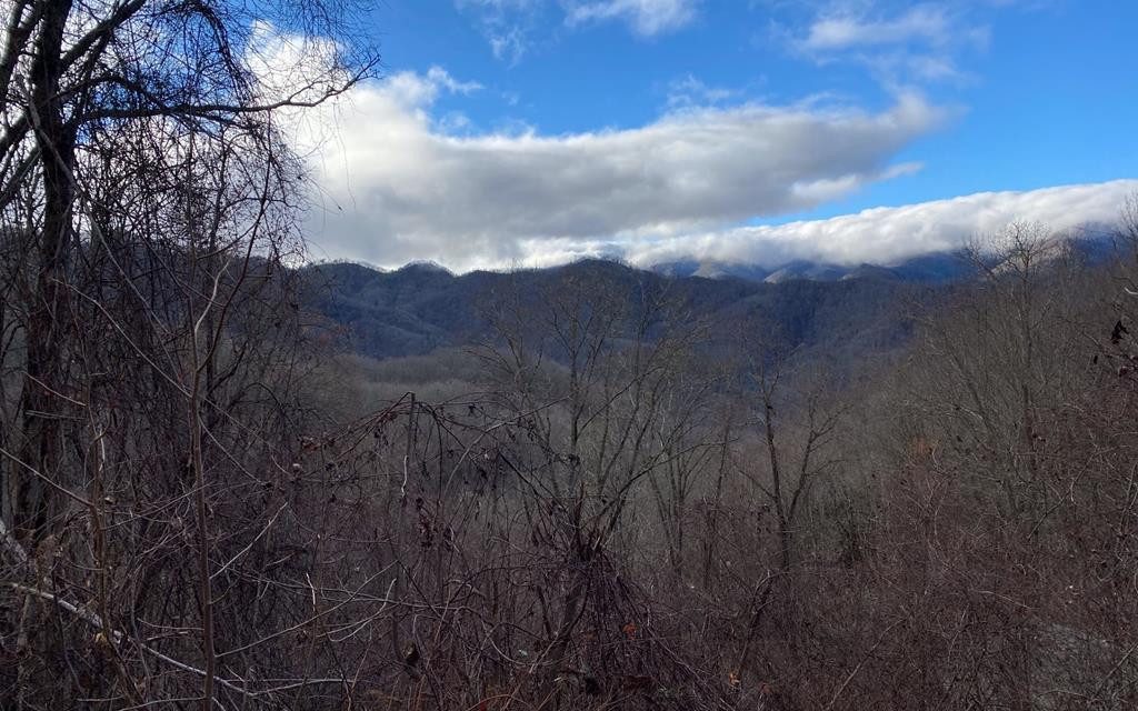 Lot Off Lot Off Buck Naked Road Bryson City, NC 28713 - Photo 1 of 7 Main View