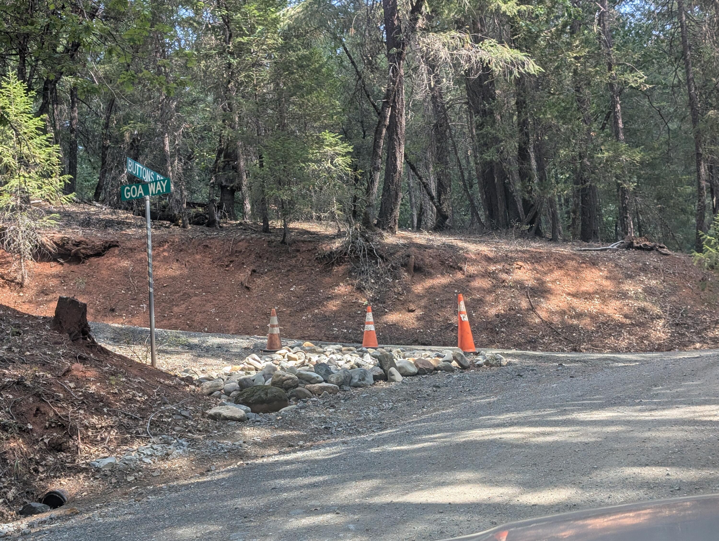 211 Goa Way Lewiston, CA 96052 - Photo 3 of 44 a view of a backyard with large trees