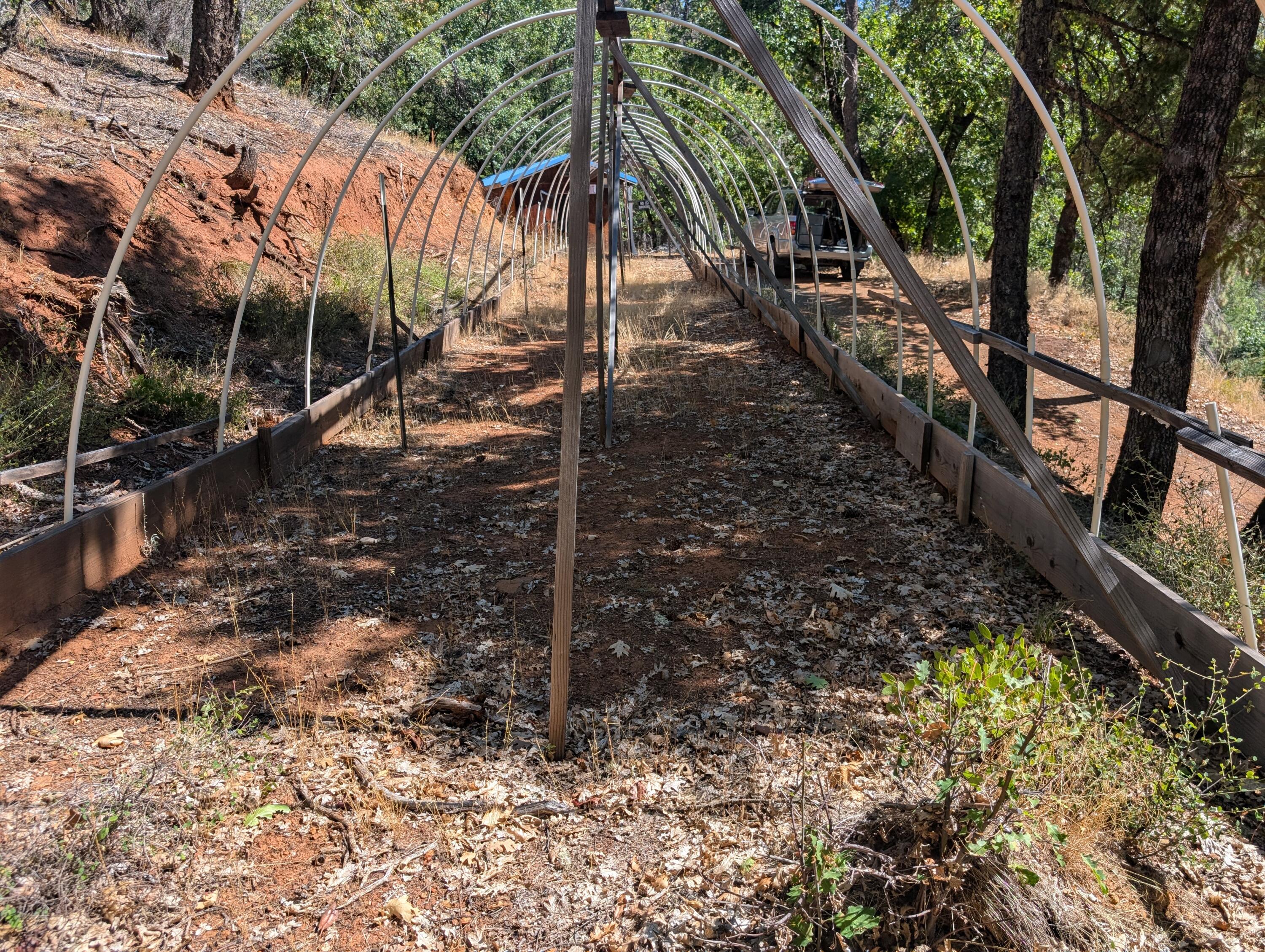 211 Goa Way Lewiston, CA 96052 - Photo 39 of 44 a backyard of a house with lots of plants and trees