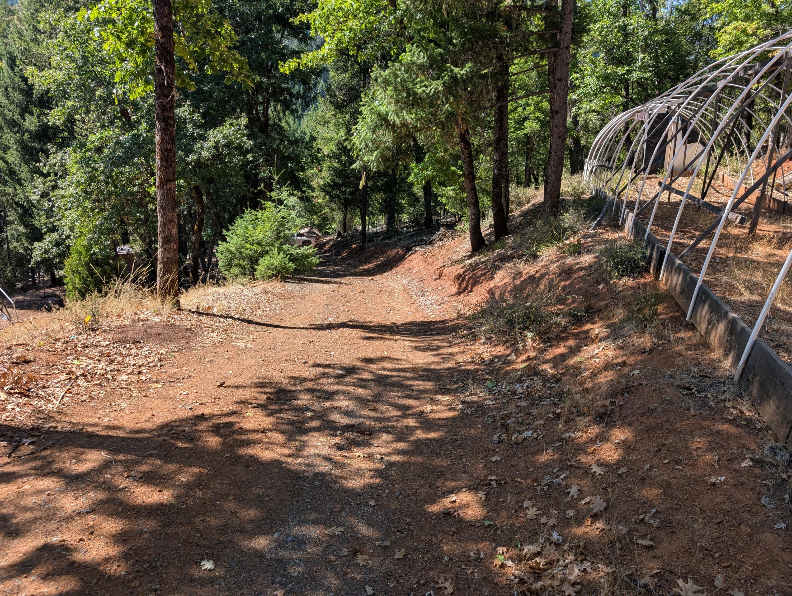 211 Goa Way Lewiston, CA 96052 - Photo 40 of 44 a view of outdoor space with trees