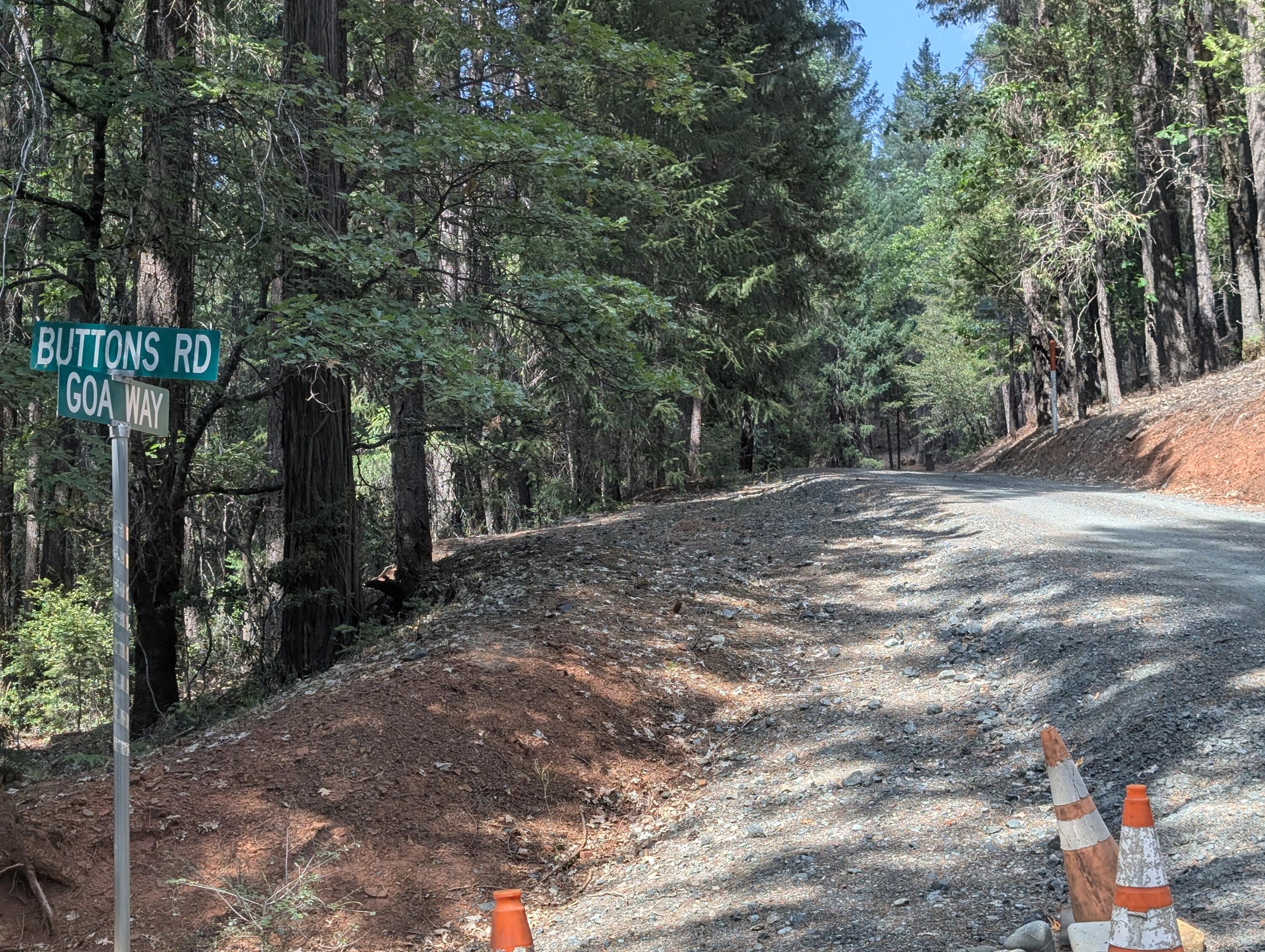 211 Goa Way Lewiston, CA 96052 - Photo 4 of 44 a view of a forest with trees