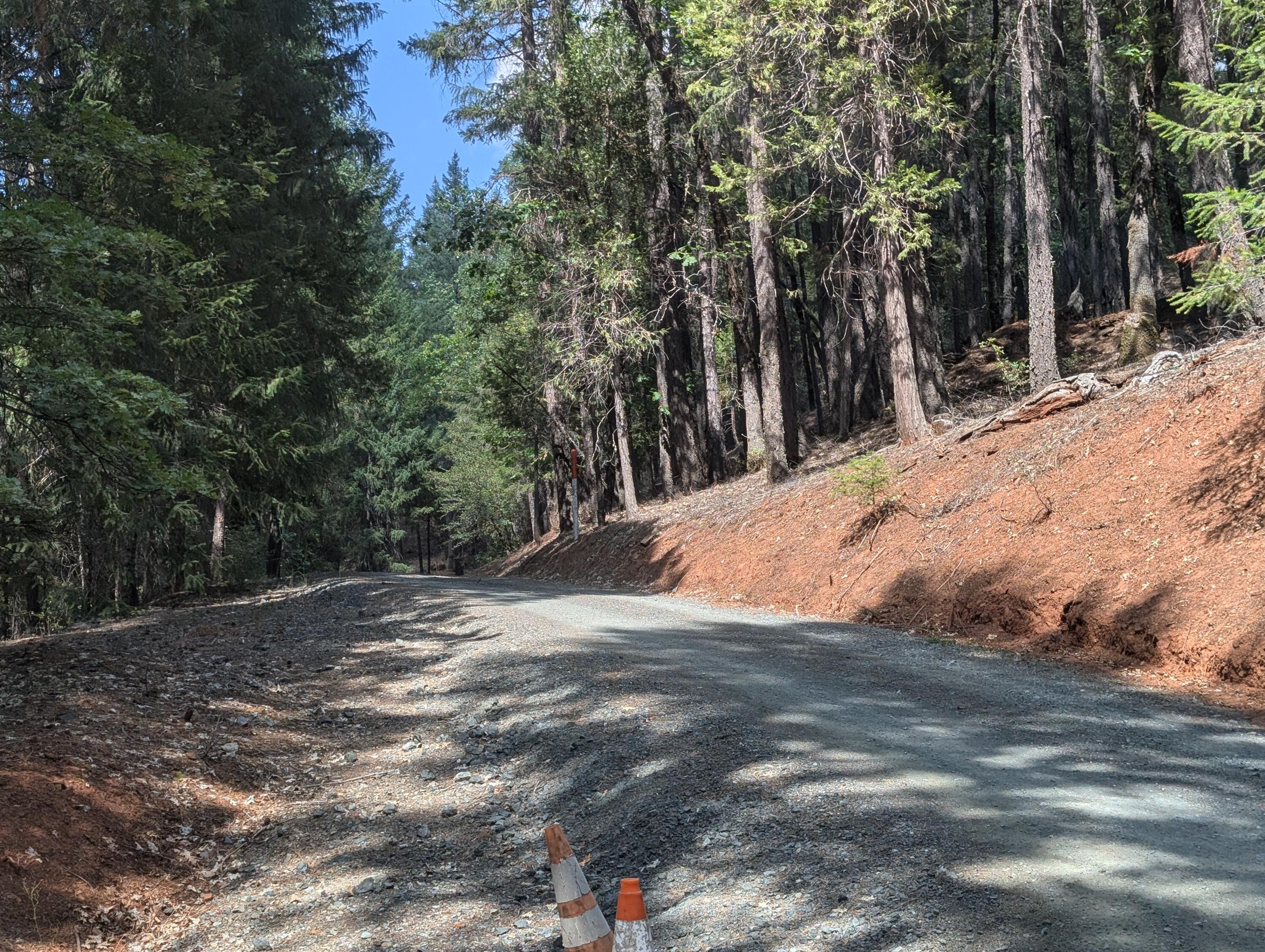 211 Goa Way Lewiston, CA 96052 - Photo 5 of 44 a view of backyard space