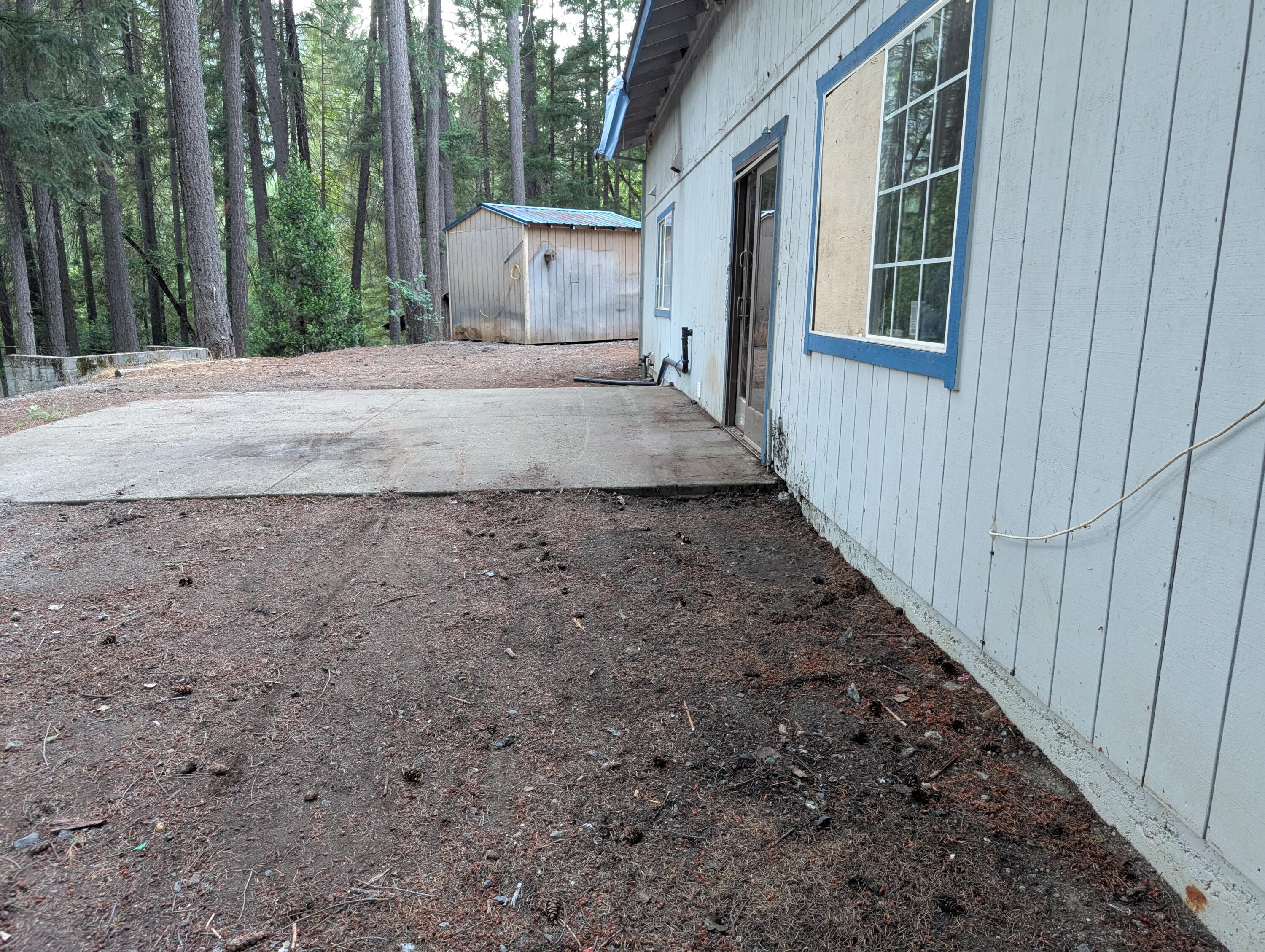 211 Goa Way Lewiston, CA 96052 - Photo 7 of 44 a view of a backyard with plants and large trees