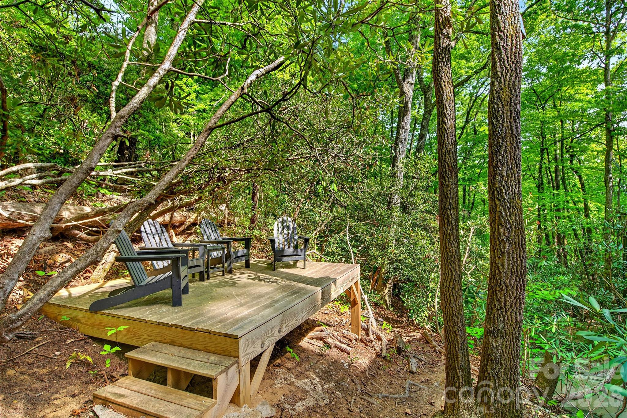 102 Frist Road Black Mountain, NC 28711 - Photo 38 of 47