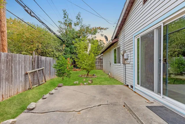 a backyard of a house with plants and large tree