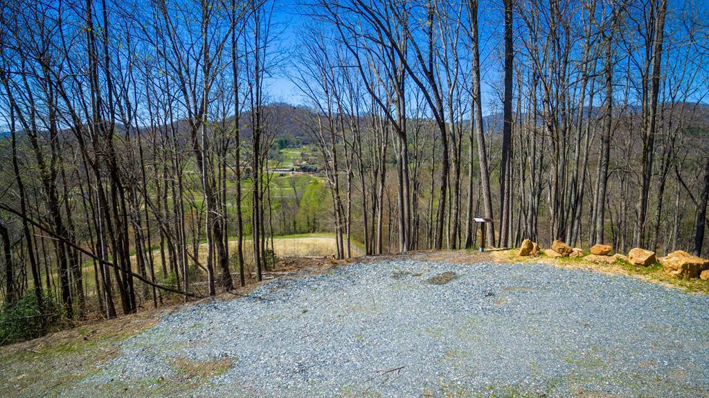 17 M Ridges Hayesville, NC 28904 - Photo 15 of 30