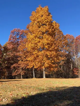 $189,900 | 217 A Daydream Drive, Dunlap, TN 37327