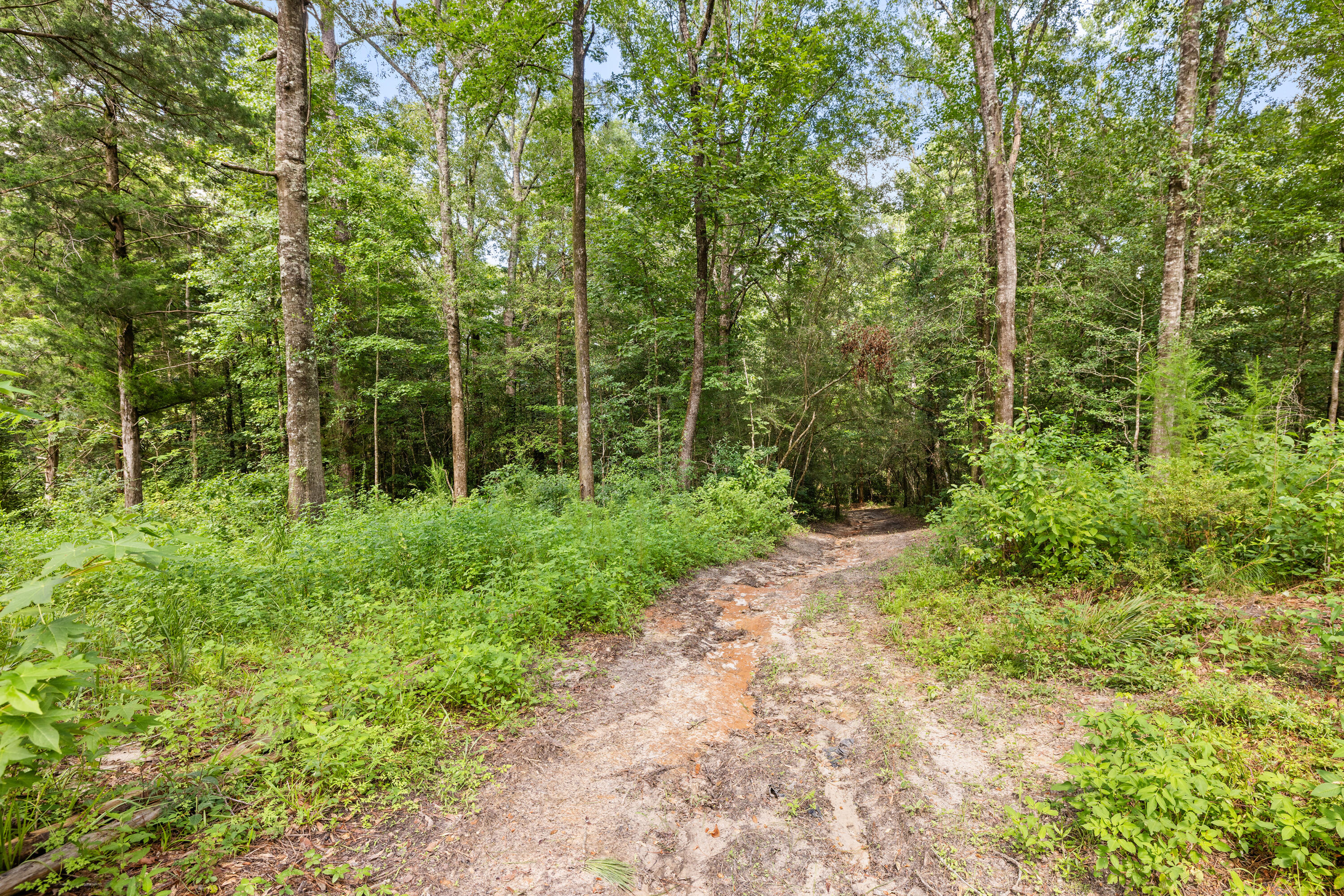 941 Walton Bridge Road Ponce de Leon, FL 32455 - Photo 29 of 119 29
