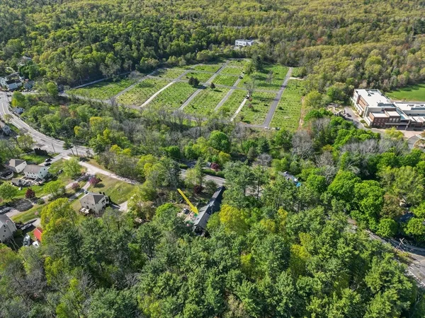 a view of a garden with a plant