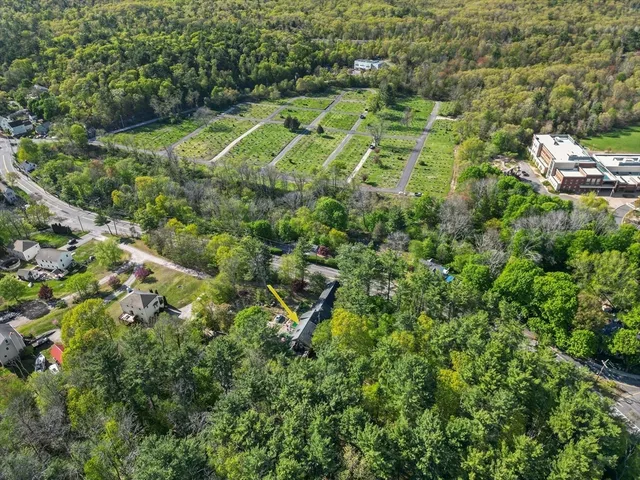 a view of a garden with a plant