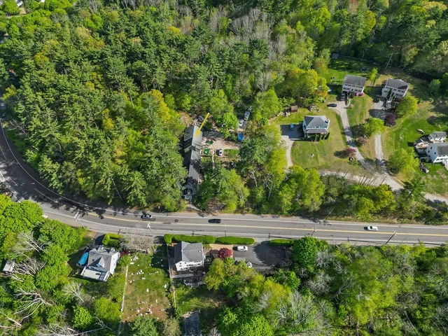 a view of a garden with a flower plant