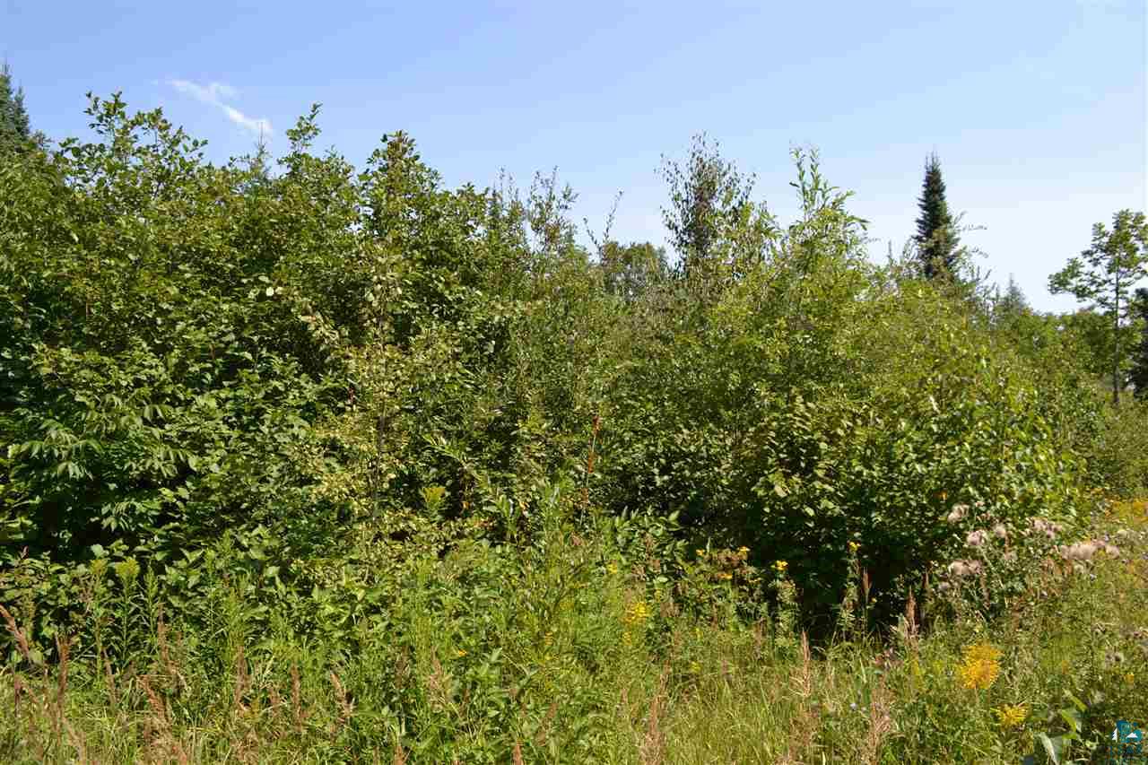 2 Steam Engine Road Lutsen, MN 55612 - Photo 23 of 34