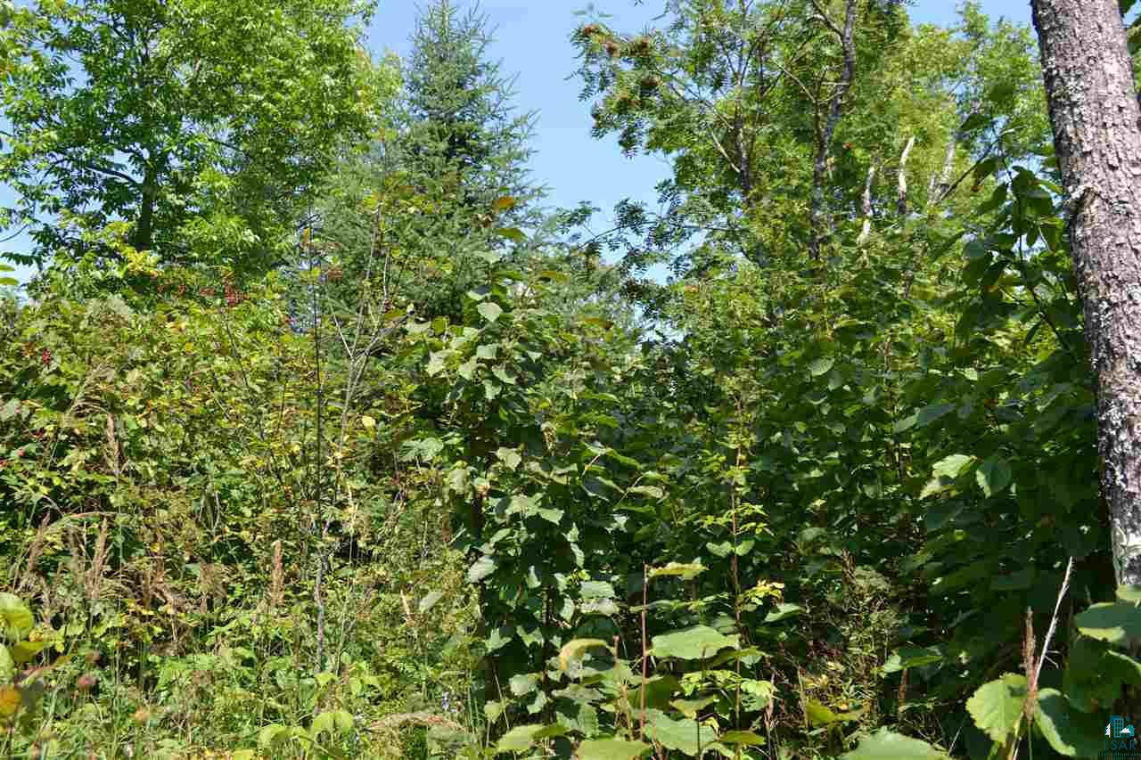 2 Steam Engine Road Lutsen, MN 55612 - Photo 10 of 34