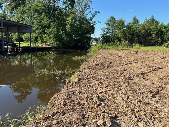 Lot 52 Swamp Drive Springfield, LA 70462 - Photo 2 of 15