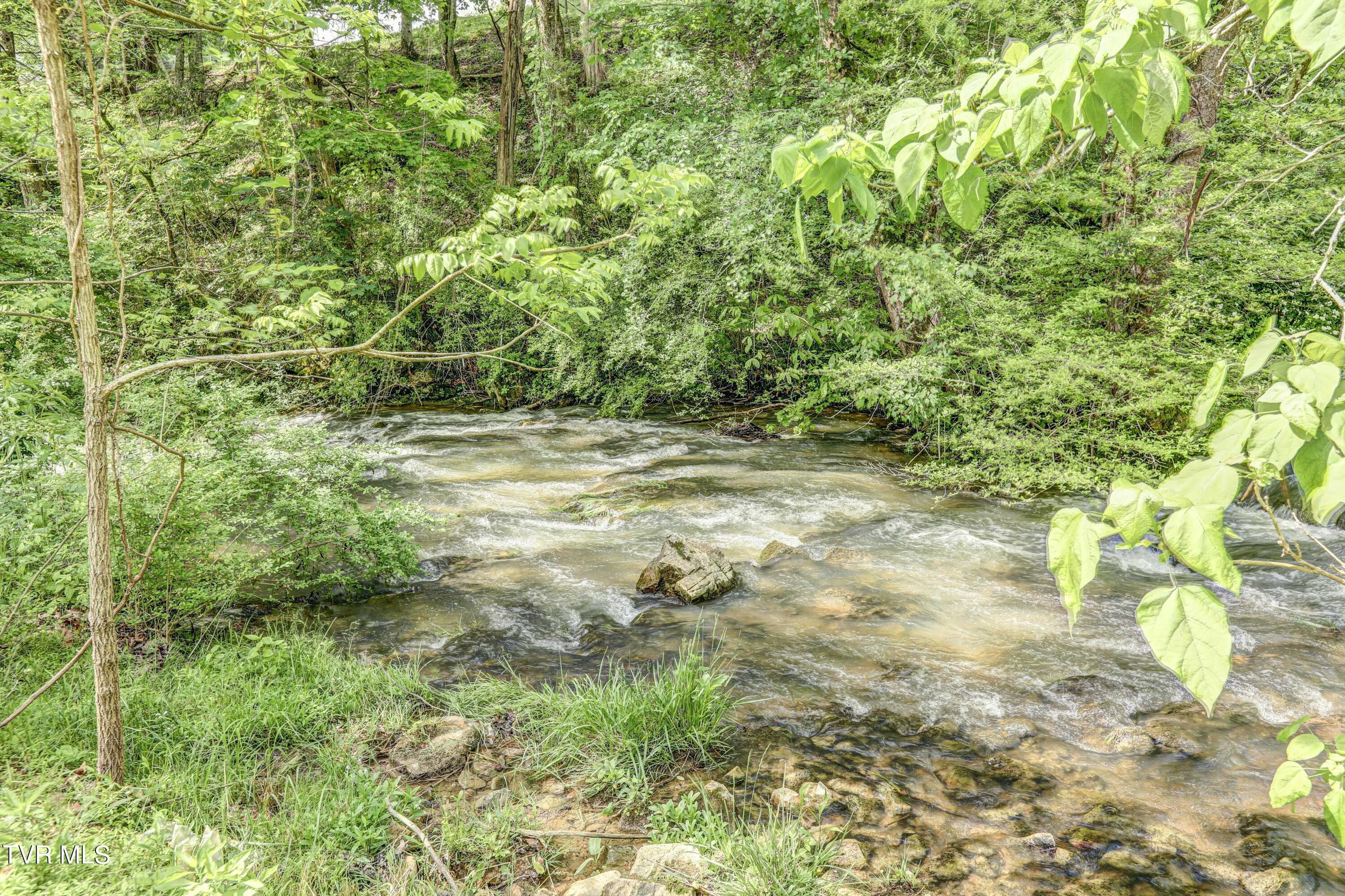 903 Paperville Road Bristol, TN 37620 - Photo 18 of 58 B42A8993_4_5_6_7