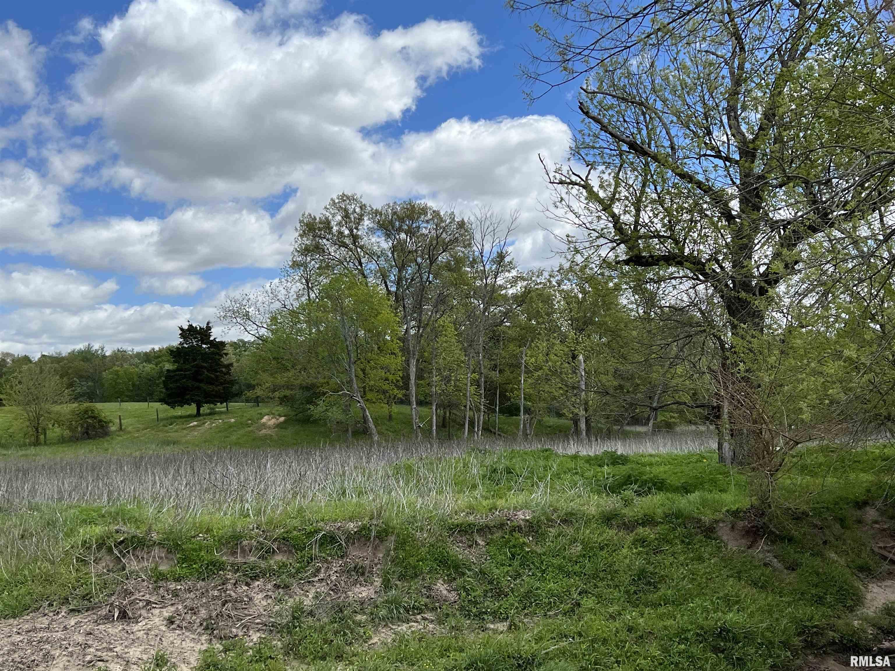 0 County Road 900 Road Rinard, IL 62878 - Photo 15 of 26 Gallery Image 15