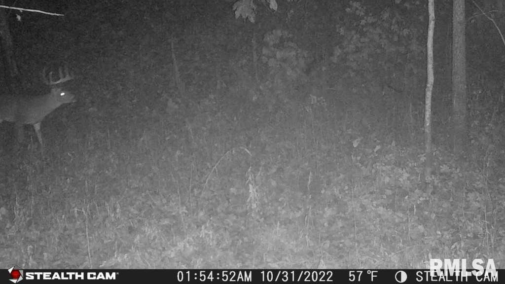 0 County Road 900 Road Rinard, IL 62878 - Photo 22 of 26 Gallery Image 22
