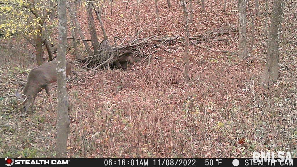 0 County Road 900 Road Rinard, IL 62878 - Photo 25 of 26 Gallery Image 25