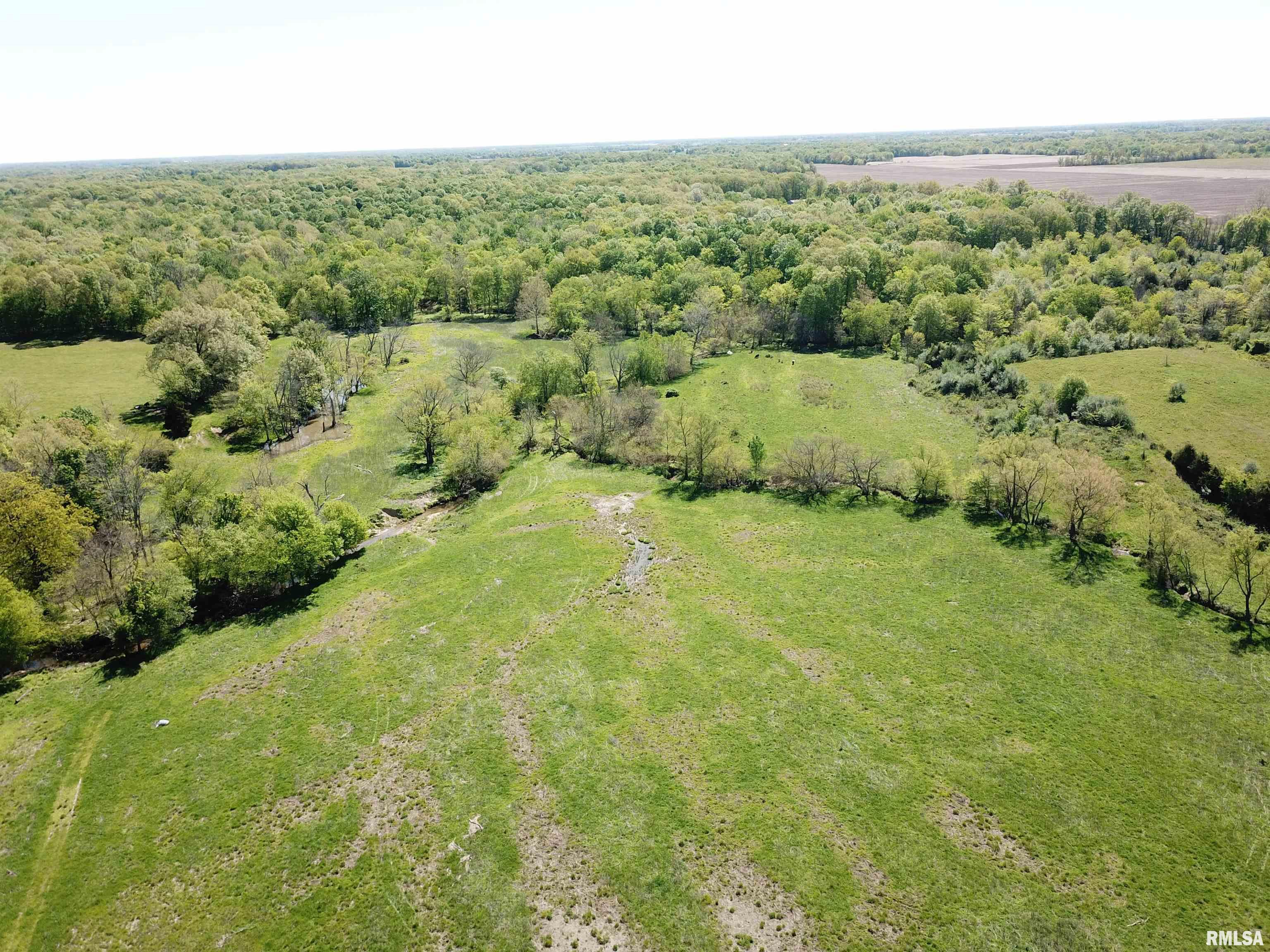 0 County Road 900 Road Rinard, IL 62878 - Photo 3 of 26 Gallery Image 3