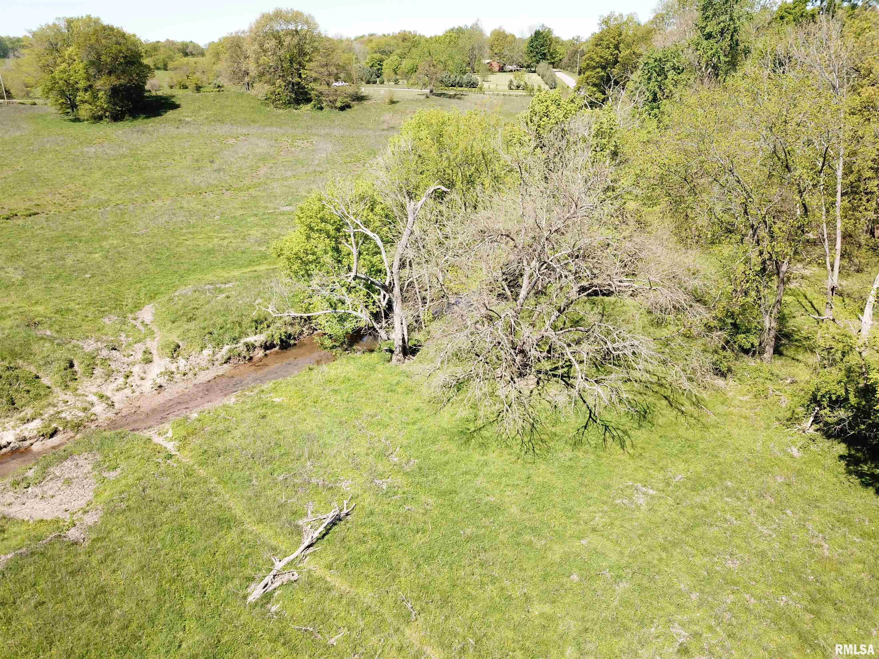 0 County Road 900 Road Rinard, IL 62878 - Photo 8 of 26 Gallery Image 8
