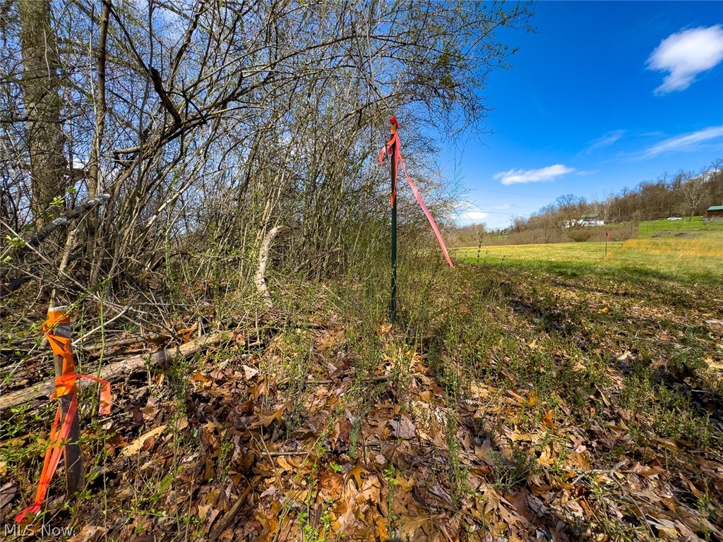 6880 Shaver Road Blue Rock, OH 43720 - Photo 25 of 36
