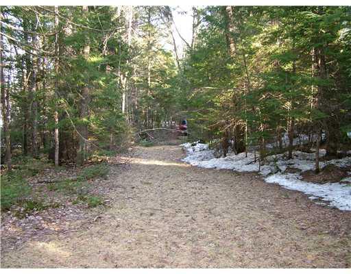 91 Wardens Camp Road Topsfield, ME 04490 - Photo 5 of 17 Land/Lot.