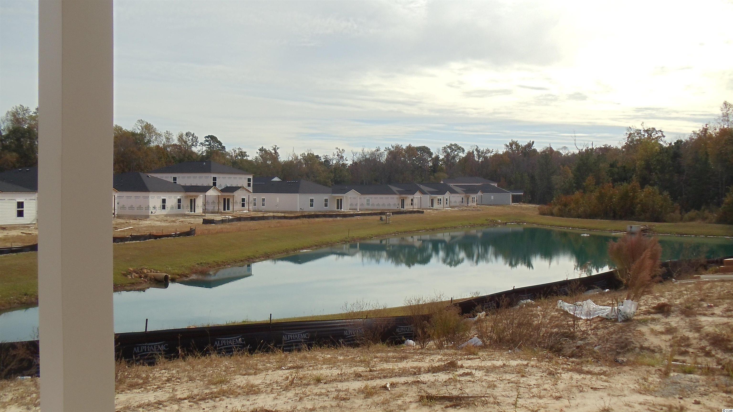 209 Cypress Tree Loop Longs, SC 29568 - Photo 4 of 4 Gallery Image 4