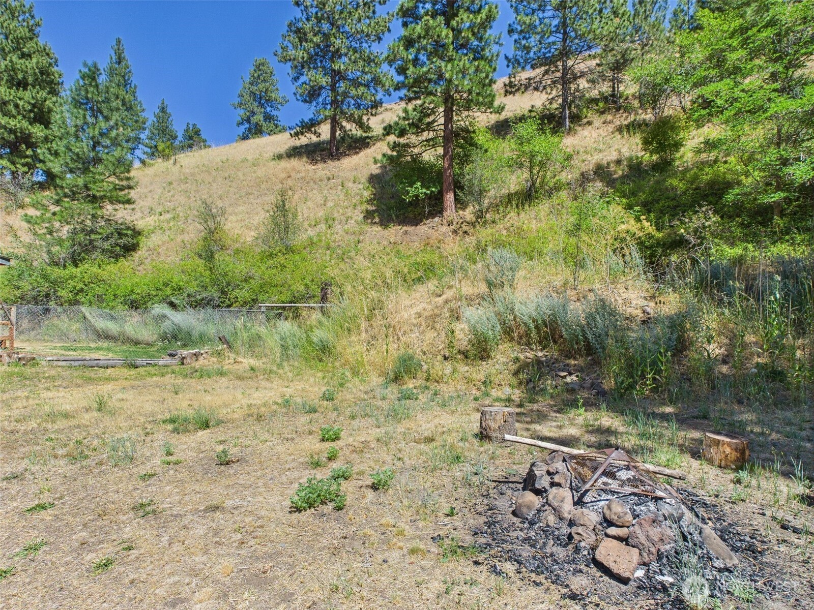 241 Wolf Fork Road Dayton, WA 99328 - Photo 35 of 40 a view of a yard with plants and trees