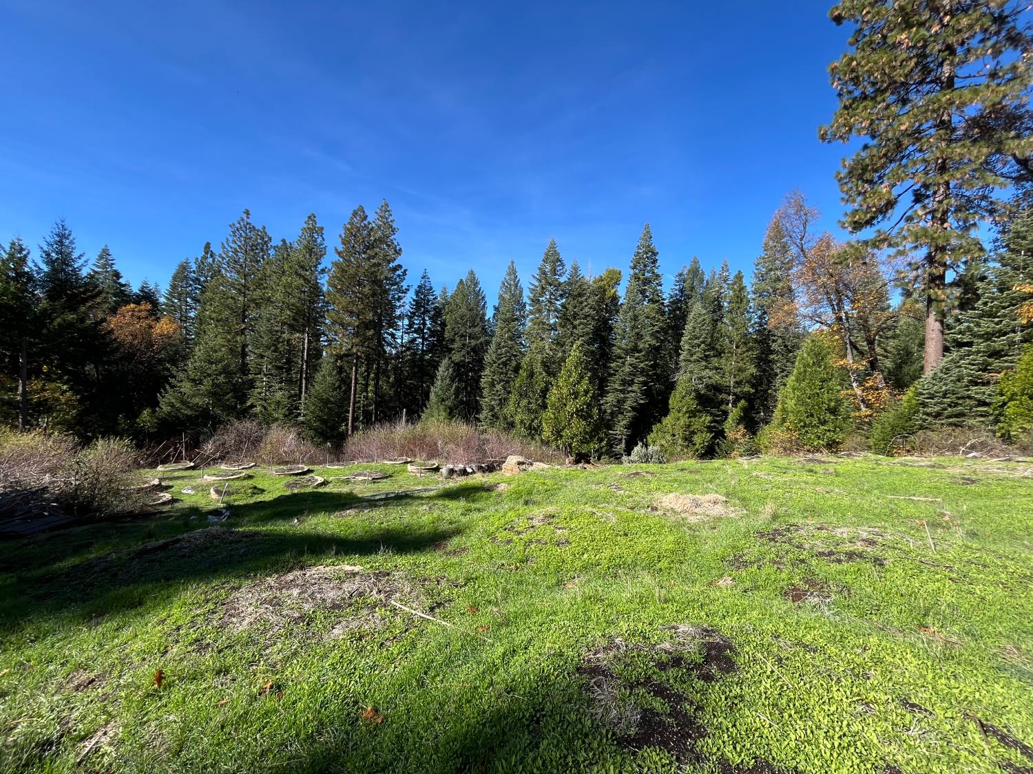 18035 Mobley Springs Road Nevada City, CA 95959 - Photo 11 of 29 a view of a water with an outdoor space