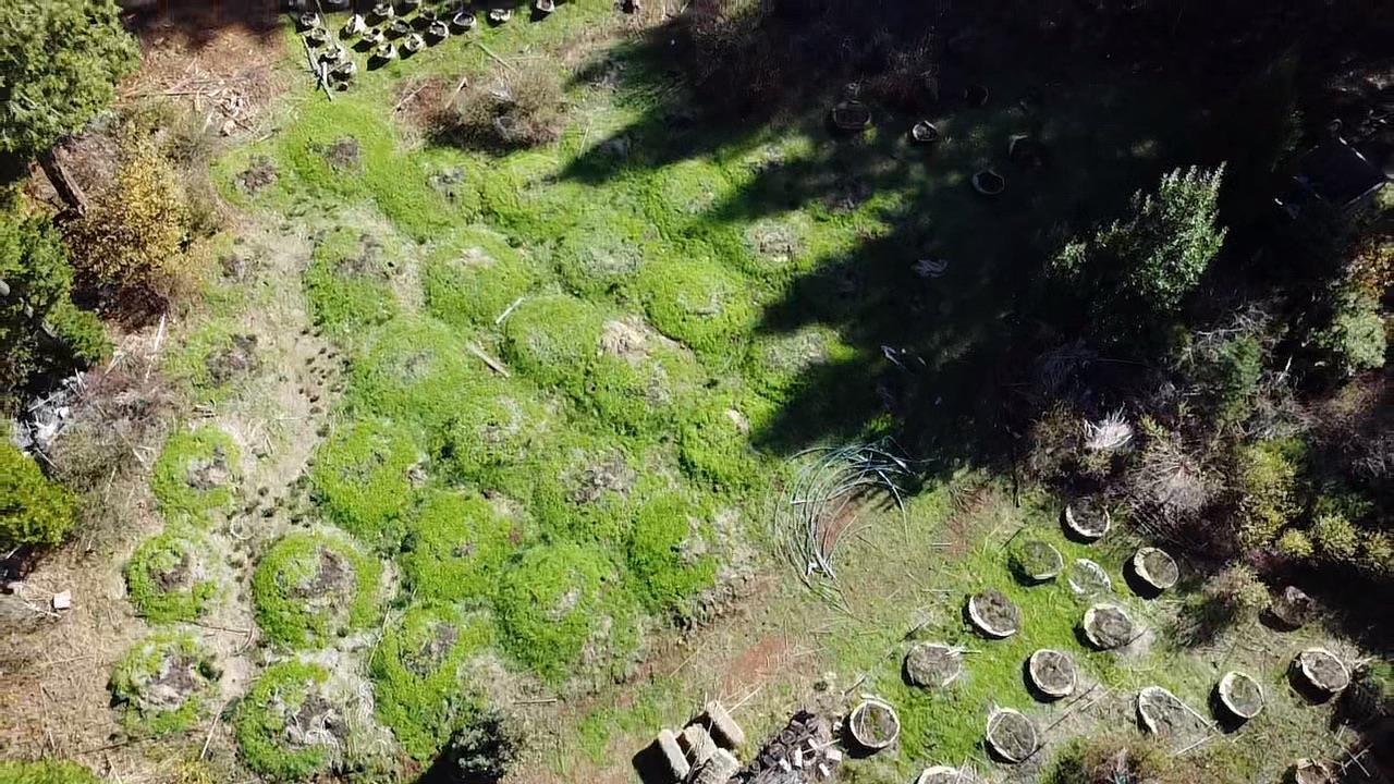 18035 Mobley Springs Road Nevada City, CA 95959 - Photo 18 of 29