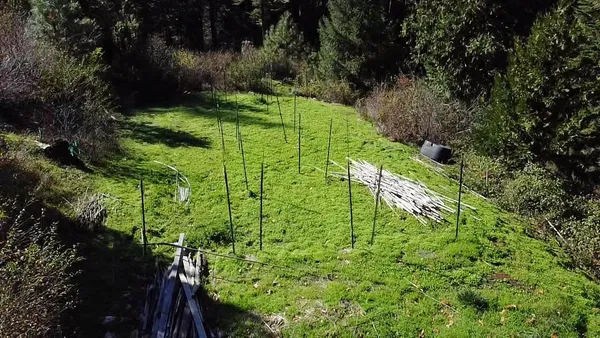 a big yard with lots of green space and deers