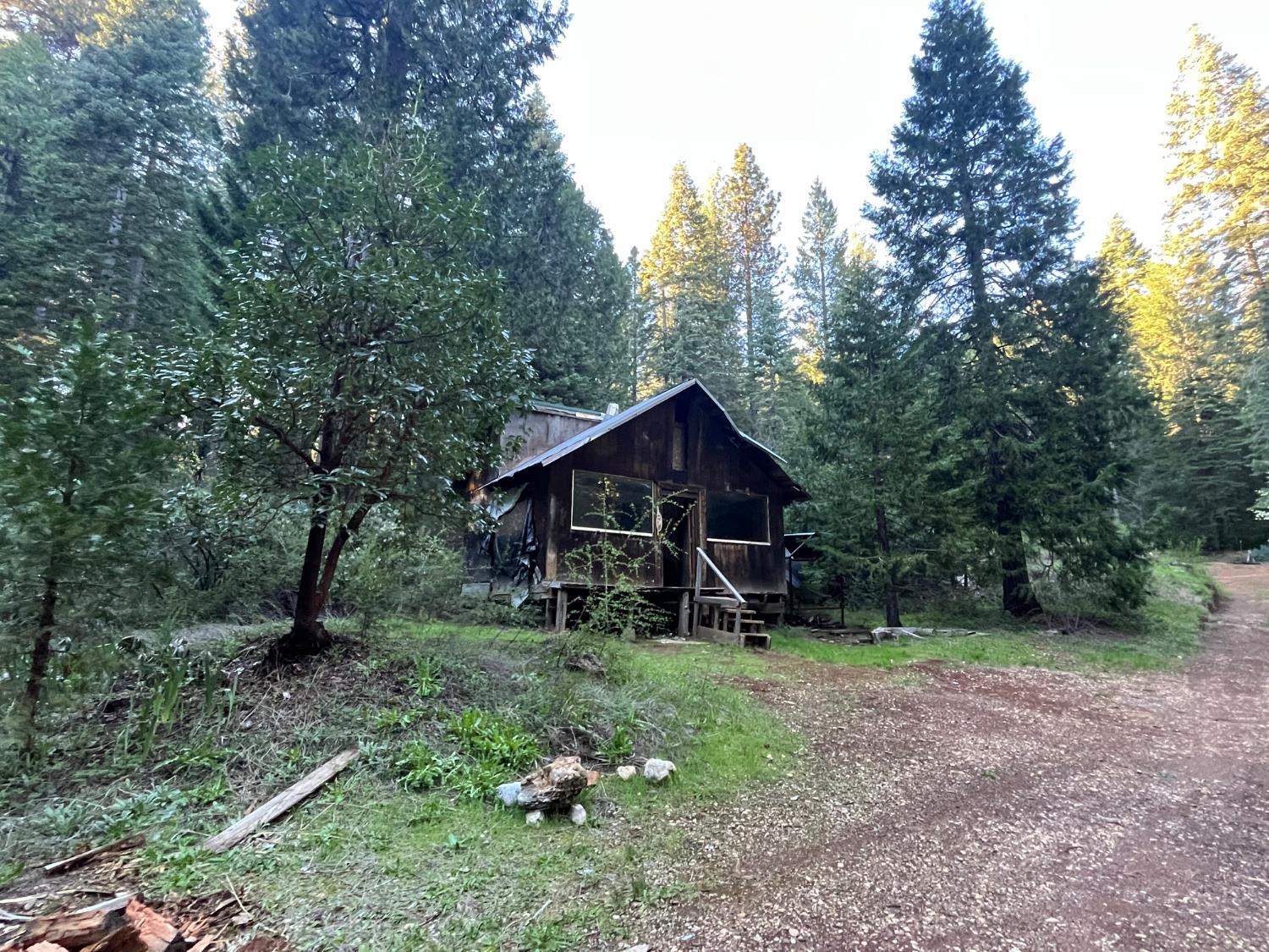 18035 Mobley Springs Road Nevada City, CA 95959 - Photo 21 of 29 a backyard of a house with lots of green space