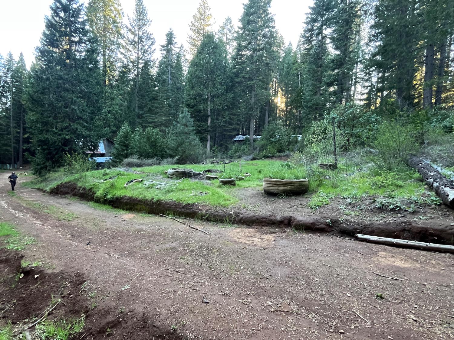 18035 Mobley Springs Road Nevada City, CA 95959 - Photo 26 of 29 a green field with lots of trees