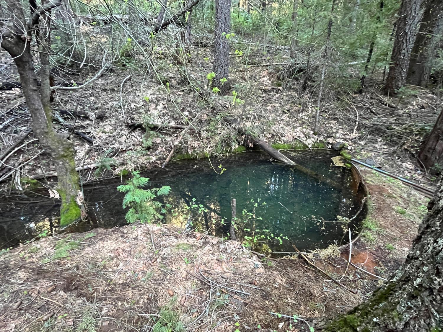 18035 Mobley Springs Road Nevada City, CA 95959 - Photo 4 of 29 a view of lake background with wooden floor