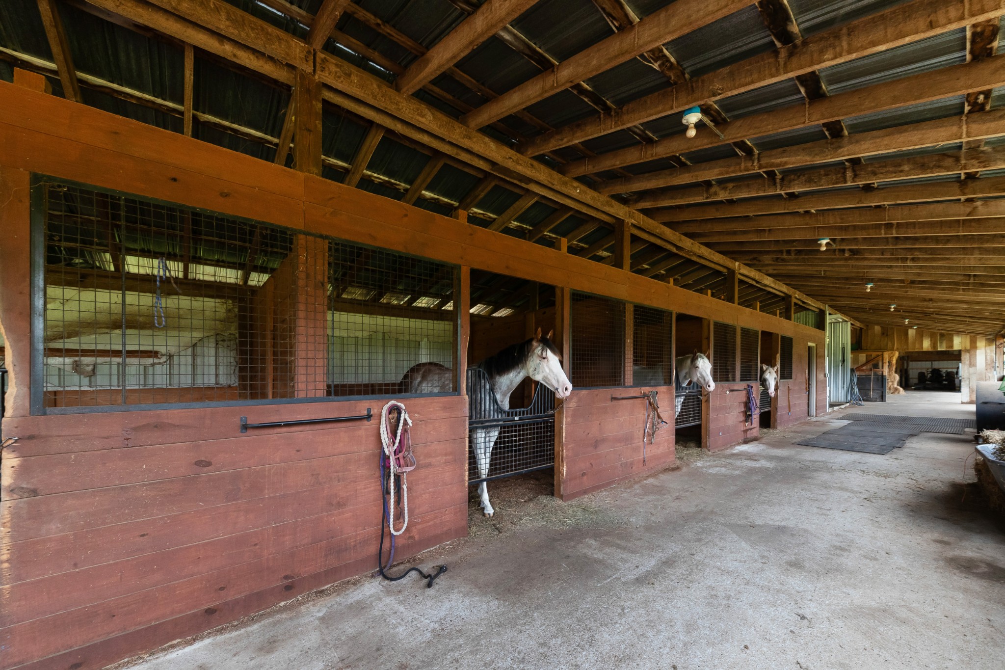 1432 Simmons Bluff Road Lebanon, TN 37090 - Photo 26 of 39 Gallery Image 26