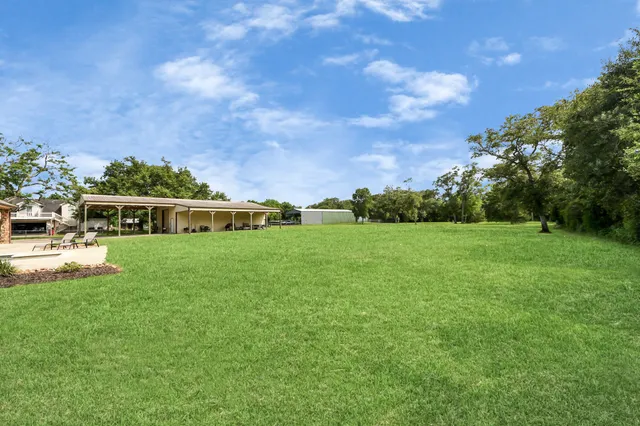 a view of a garden with a tree