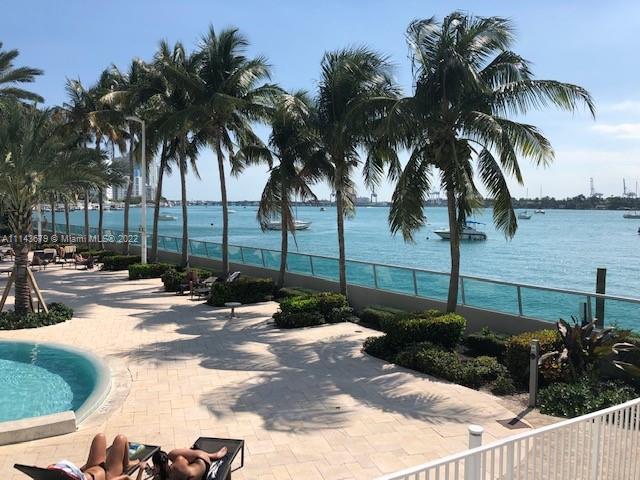 1500 Bay Road, Unit 958S Miami Beach, FL 33139 - Photo 11 of 20 a row of palm trees and a yard