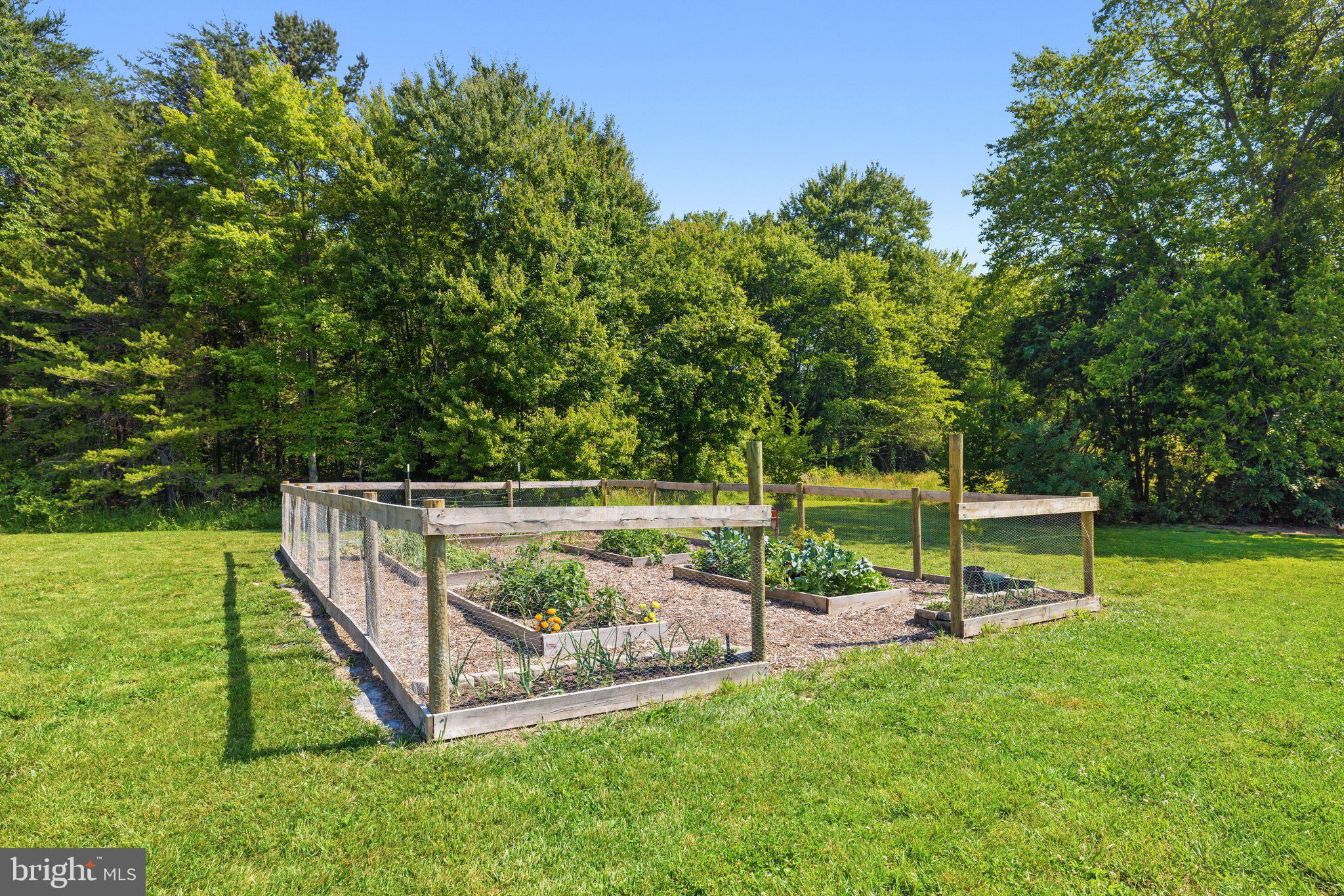 12881 Sillamon Road Goldvein, VA 22720 - Photo 78 of 92 Gallery Image 78