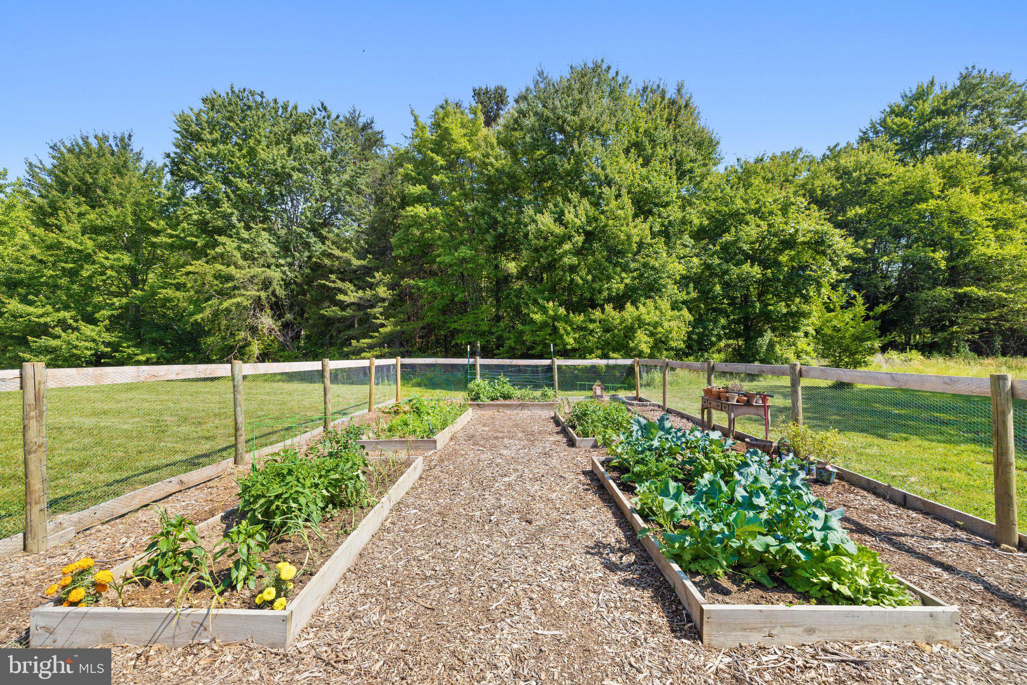12881 Sillamon Road Goldvein, VA 22720 - Photo 79 of 92 Gallery Image 79