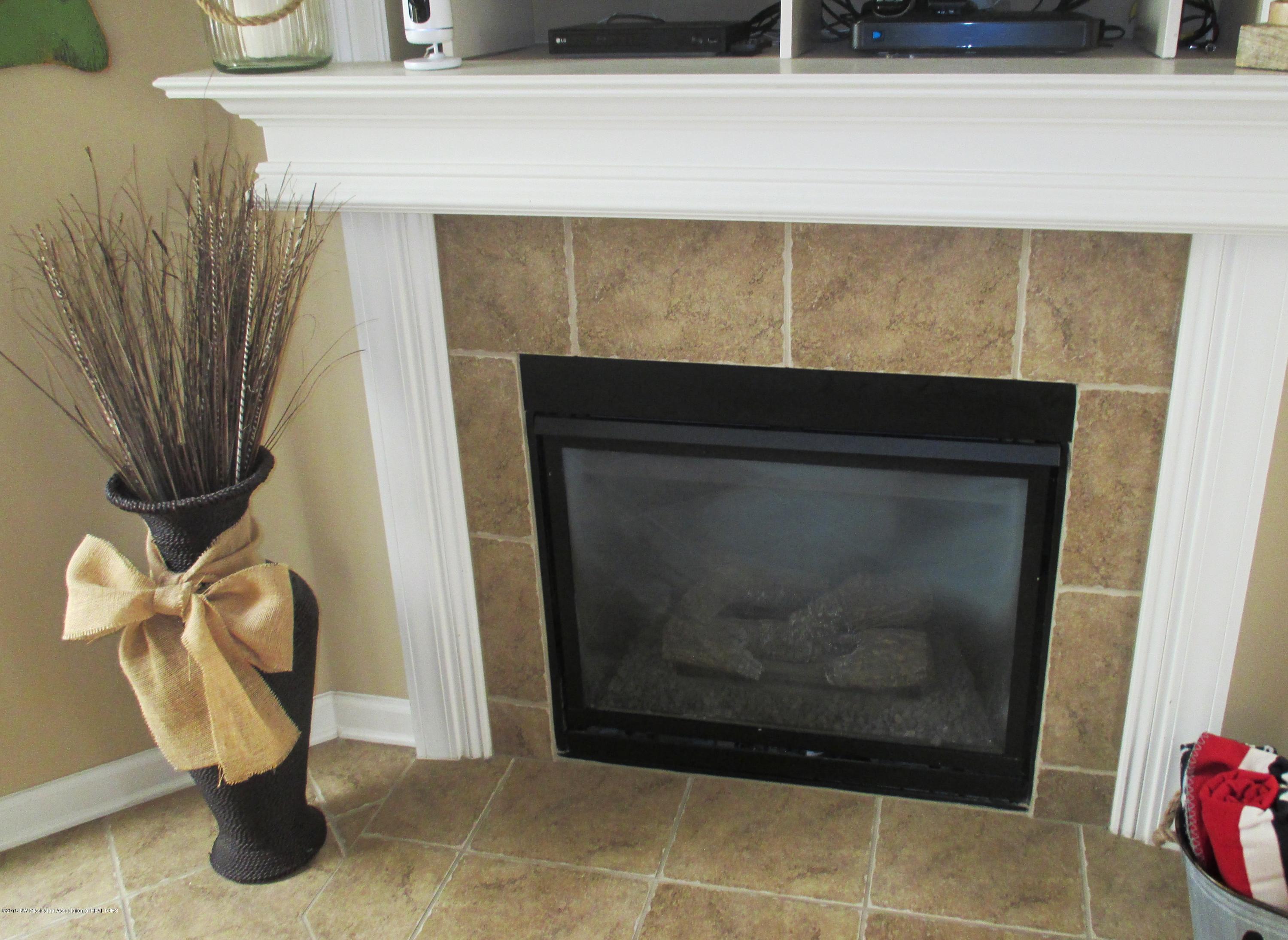 9239 Mitchell's Corner Road East Olive Branch, MS 38654 - Photo 13 of 31 Fireplace
