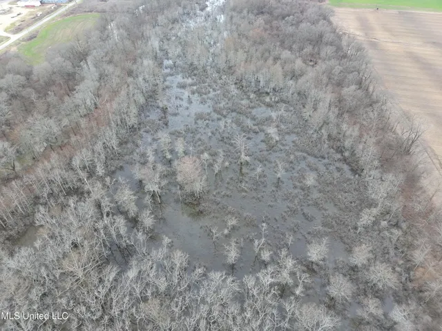 $145,000 | 526 County Road, Minter City, MS 38944