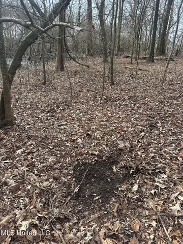 $145,000 | 526 County Road, Minter City, MS 38944