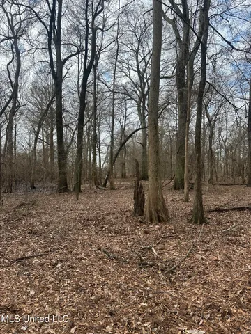 $145,000 | 526 County Road, Minter City, MS 38944