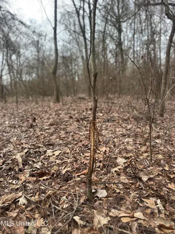 $145,000 | 526 County Road, Minter City, MS 38944